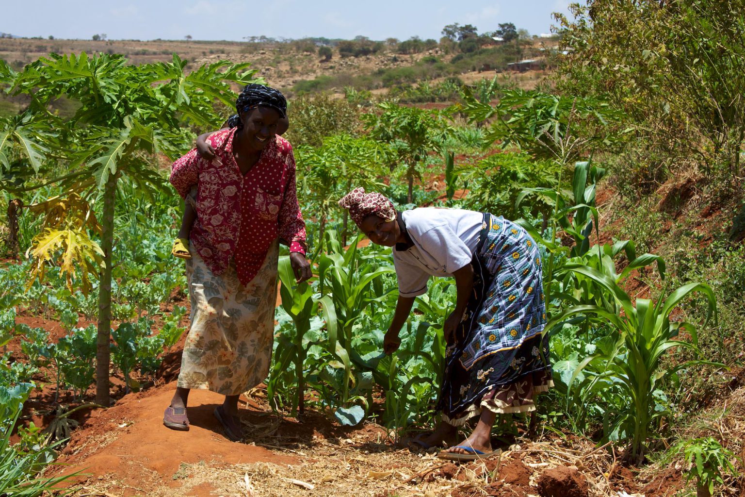 the-era-of-middle-men-will-come-to-an-end-farmers-to-get-their-fair